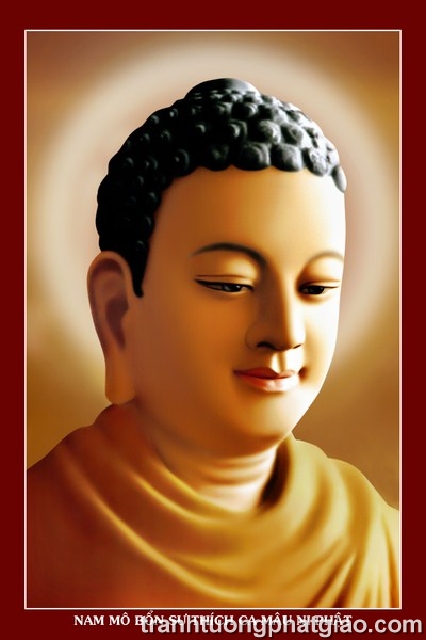 Bổn Sư Thích Ca Mâu Ni Phật (113-a)